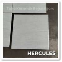 Hercules Papua L Grey, Keramik Terlaris di Toko Keramik Bojonegoro